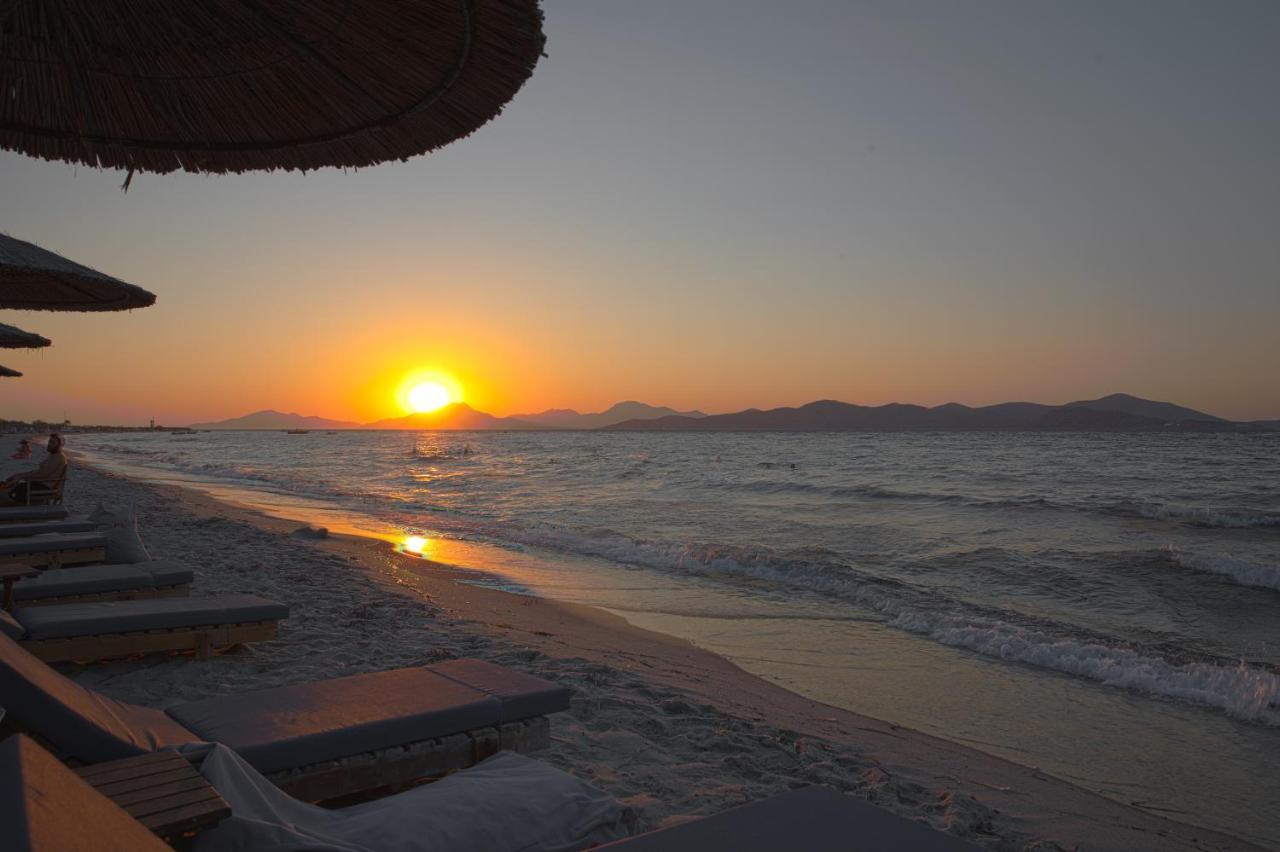 Philippos & Alexandros Apartments Tigaki Dış mekan fotoğraf